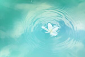 spa water products