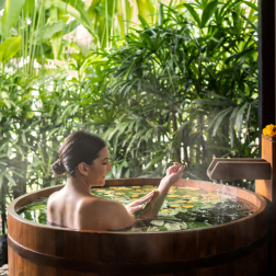 organic spa water purifier